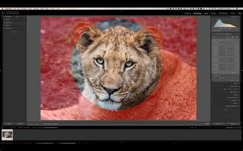 Lightroom has a default feather setting of 50 which is quite a lot, too much for this image, so adjust the feather down. Lightroom Tips | The Various Ways To Use The Radial Filter ...