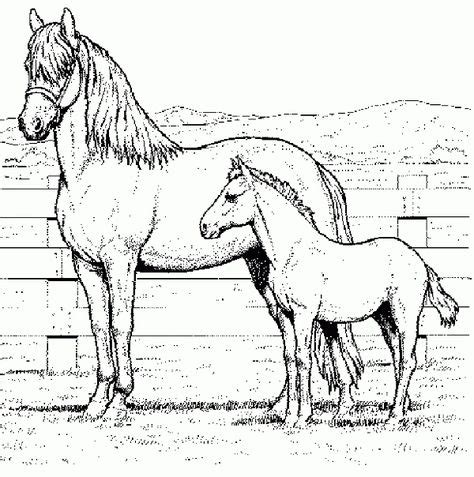 Paardenhoofd kleurplaat google zoeken isa タトゥーのアイデア. Kleurplaat Paardenhoofd Moeilijk | kleurplaten van dieren