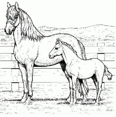 Klik op de paardenhoofd zentangle kleurplaten om de printbare versie te bekijken of kleur het online in. Kleurplaat Paardenhoofd Moeilijk | kleurplaten van dieren