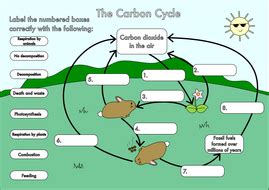 Students explore the concepts of reservoirs and fluxes with a game of chance. GCSE Carbon Cycle worksheets and A3 wall posters by ...