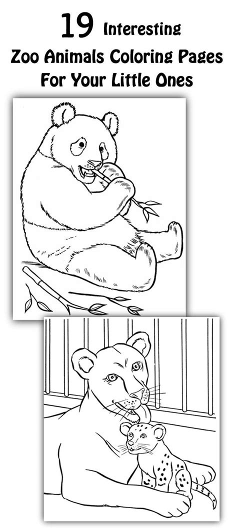 Cute zoo animal coloring pages was popular in the early many years. Top 25 Free Printable Zoo Coloring Pages Online | Zoo ...