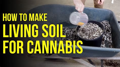 If you take the time learn what plants grow best where you live, and prepare your soil well, mother nature will do the rest. How to make LIVING SOIL / SUPER SOIL for Cannabis - CBD ...