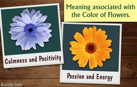 Long before it became the social fashion in the victorian era, flowers and their coloration were used to enhance meanings, and even interpreted as oracles. Understanding the Symbolism and Meaning of the Color of ...