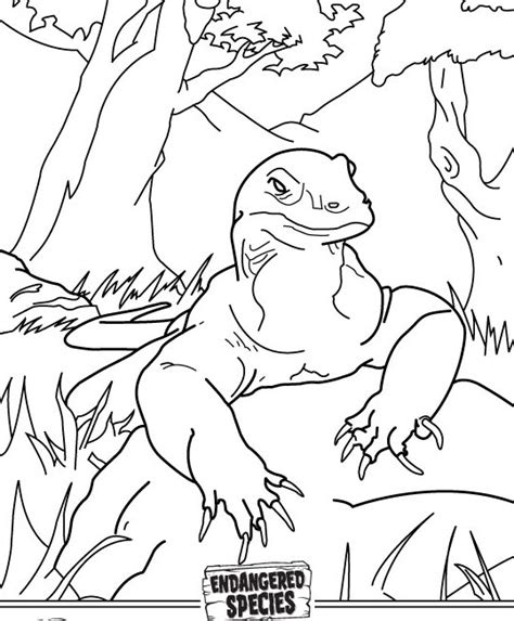 440/730 the drogon meet komodo dragon. Komodo Dragon Coloring Page at GetDrawings | Free download