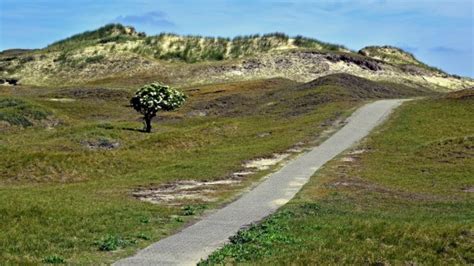 Their influences are easy to hear but still they sound somehow independent through the. Norderney: Germany's island of spas and sandy beaches