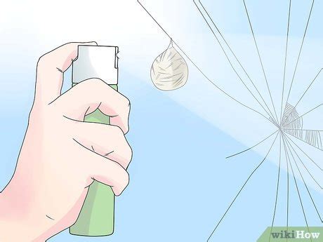 Since doing so i have found and squished dozens of black widows. How to Get Rid of Black Widow Spiders (with Pictures ...