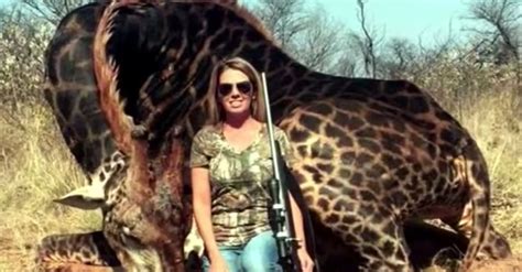 18 736 просмотров18 дней назад. Killing of African Giraffe Sets Off Anger at 'White ...