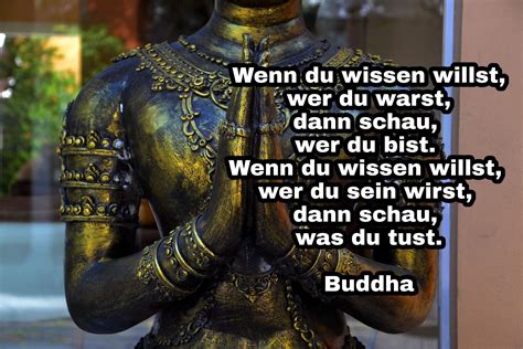 Zitate buddha gesundheit | es gibt diverse alleinstehende männer über frauen, die versuchen, übrige zu eingebildet, indem sie anhand eines zitats beschreiben, ansonsten die übrige person aussieht. Spiritualität, Gesundheit und Schönheit. Spirituelle ...