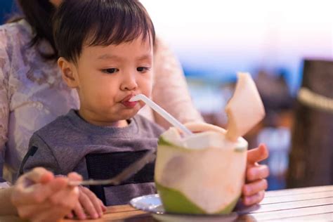 Manfaat air kelapa bagi ibu hamil berikutnya adalah mencegah obesitas. Download Manfaat Minum Air Kelapa Ijo Images - Content