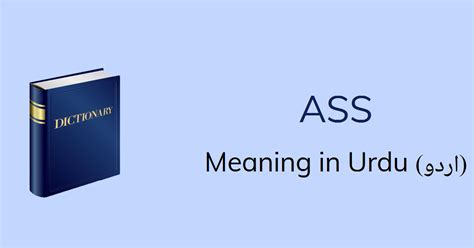 You could say good, how's it going for you?.but i don't think that's used very often.? Ass Meaning in Urdu - احمق Ahmaq Meaning, English to Urdu ...