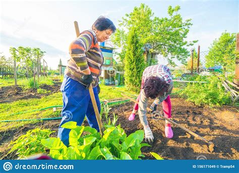 Im garten gibt es viel zu entdecken. Reife Frauen Arbeiten Im Garten Stockbild - Bild von ...