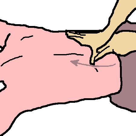 Feb 28, 2019 · this diagram shows which muscles in the lower back may be causing you pain. Back Massage Techniques & Tips