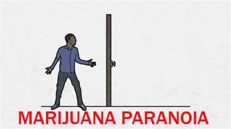 Maybe you would like to learn more about one of these? Lmaoooo GIF - MarijuanaParanoia Weed - Discover & Share GIFs
