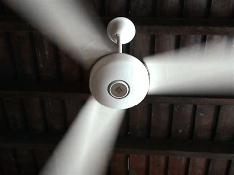 Select from premium ceiling fan of the highest quality. Which Way Should My Ceiling Fan Turn? | Ceiling fan ...