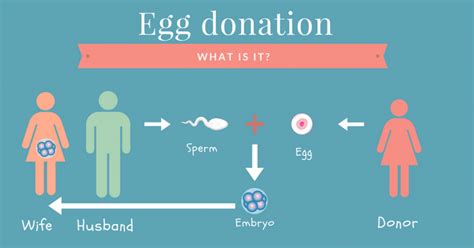 Fortunately, multiple studies have demonstrated fertilization and pregnancy success rates with icsi are equivalent to standard insemination by ivf. Life IVF Center: What Is the Rate of Success With IVF and ...