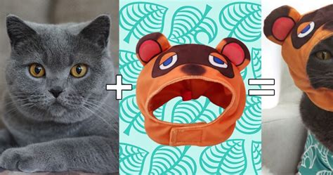 Unique tom cat posters designed and sold by artists. Animal Crossing : transformez votre chat en Tom Nook grâce ...