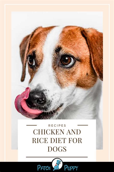 The recipe formulated with key nutrients to support specific needs based on your dog's size, lifestyle. Chicken and Rice Diet for Dogs - PatchPuppy.com | Rice ...