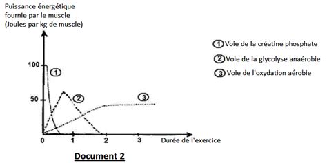 Par ailleurs, j'observe qu'avec tes tests l'ajustement puissance pour le premier modèle est assez proche d'un y=a/x^b avec a proche. Oasis SVT: Méthodologie exploitation de documents