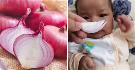 Cara hilangkan kahak baby, kota bharu. Petua Dari Mekah Untuk Rawat Selesema, Hidung Tersumbat ...