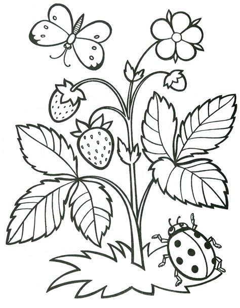In the hsl model, it is represented by 240° hue, 100% saturation and 58% lightness. Strawberry coloring pages to download and print for free