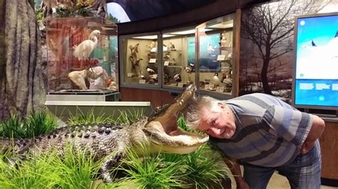 Don't forget to rate and comment if you are interested in this hairstyle. Cook Museum of Natural Science (Decatur) - All You Need to ...