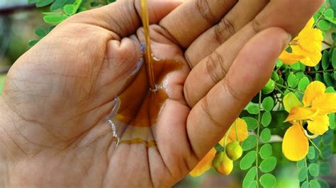 200 ml of coconut oil 10 hibiscus flowers 10 hibiscus hibiscus hair oil moisturizes the hair and makes it soft and supple. மேஜிக் போட்ட மாதிரி மளமளனு முடி வளரனுமா? இனி தலைக்கு இதை ...