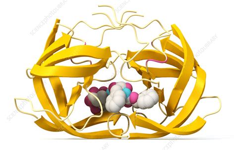 Protease inhibitors bind to the active. HIV protease inhibitor drug molecule - Stock Image - A624 ...