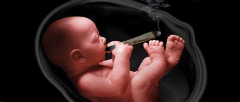 All shades of yellow can alternately. Health Effects of Marijuana During Pregnancy - Full ...
