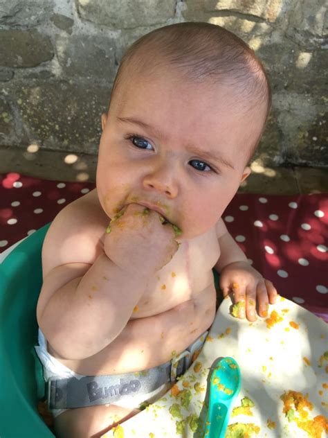 Yumi explains that sometimes it takes a baby a few tastes to make up their opinion about some. Getting Started on Solid Food: Baby Led Weaning & Spoon ...