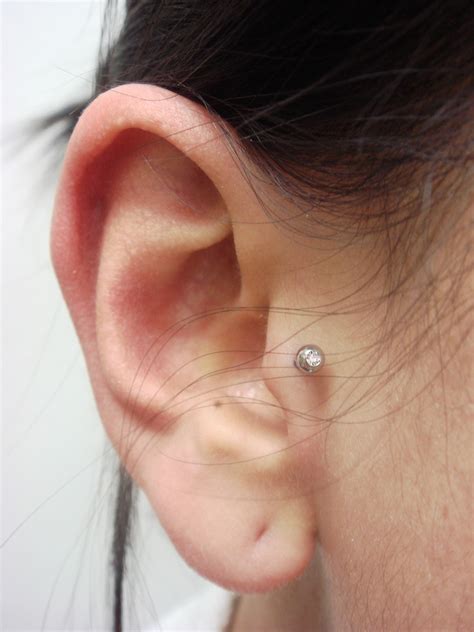 20% off wide variety of stylish and comfortable tragus earrings with code: A.Word.A.Day --tragus