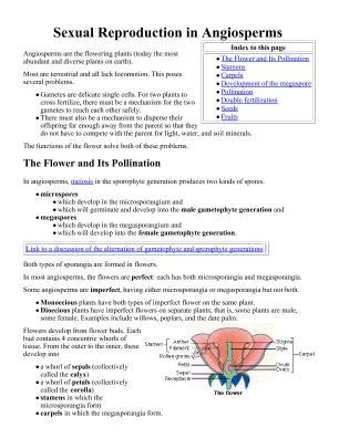 One of the important factor (key. Hardy Weinberg Gizmo Answer Key Pdf / Rainfallbirdbeaksse ...