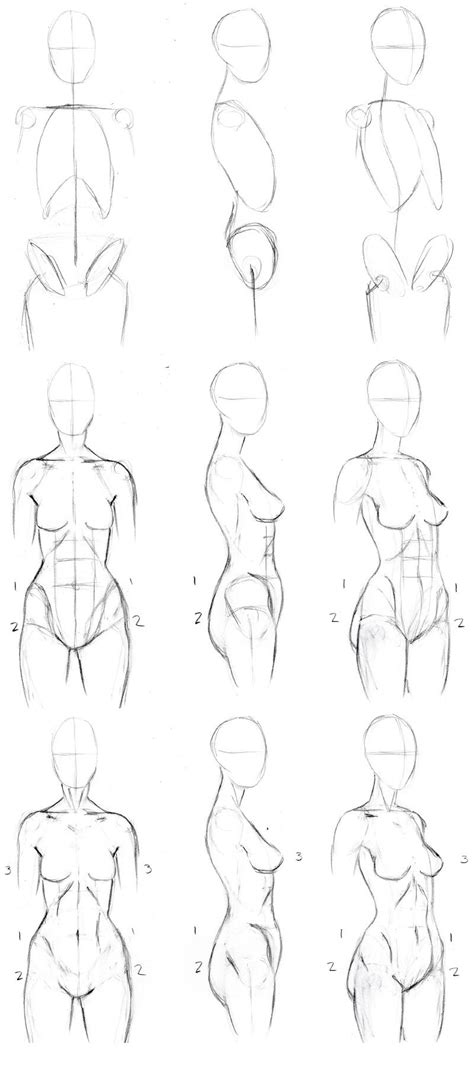 Veja mais ideias sobre anatomia, corpo humano, anatomia masculina. Basic Female Torso Tutorial by timflanagan on DeviantArt