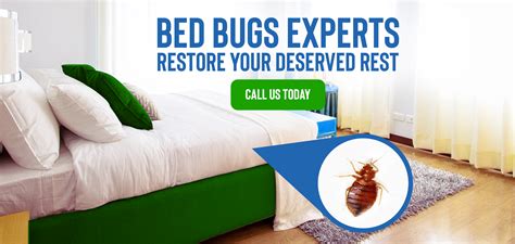 We offer powerful, proven commercial pest control services backed by our guarantee. Bed Bug Control in Kalyan | Kalyan Bed Bug Control