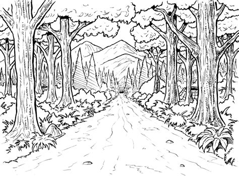 Vous noterez que je multiplie les taches d'ombres ici ou là sur le sol pour rendre la lumière hachurée du lieu due au feuillage. Coloriages Forêt (Nature) - Page 2 - Album de coloriages