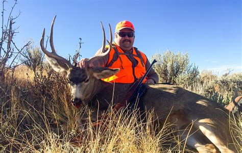 Complete guide to planning a diy mule deer hunt. Best mule deer hunting in colorado