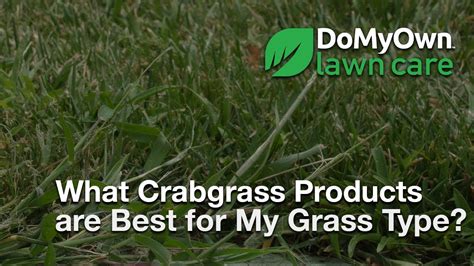 Are weeds taking over your lawn and driving you crazy! What Crabgrass Products Are Best for my Grass Type? - Weed ...