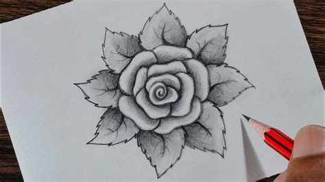 Maybe you would like to learn more about one of these? How to draw a Rose step by step - YouTube