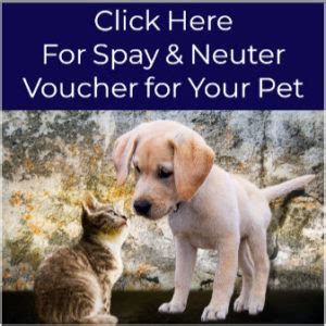 Please be sure to bring a valid photo id with you. Spay & Neuter Voucher Program - Paws For Life Animal Rescue