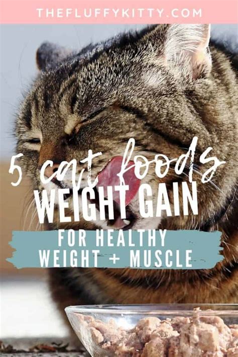 Weruva chicken 3oz variety pack (24 cans total). How to Fatten up a Cat: Best Cat Food to Gain Weight {Dry ...