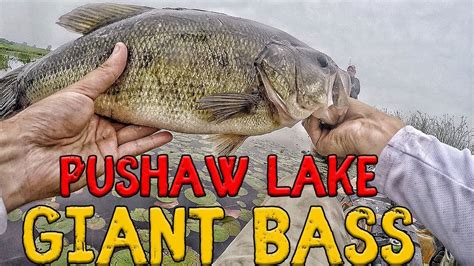 Duck lake is presently easily accessible by two wheel drive vehicles from state route 188 via nicatous lake or by the ccc road which crosses the champion stud mill road. Bass Fishing Maine - "Pushaw Lake Giants" - YouTube