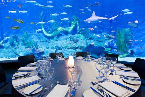 By using this site you agree to zomato's use of cookies to give you a personalised experience. Melbourne Aquarium - Underwater Space - Hidden City Secrets
