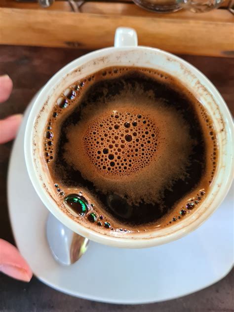 Кофе лювак (Kopi Luwak) — самый дорогой кофе со странным способом ...