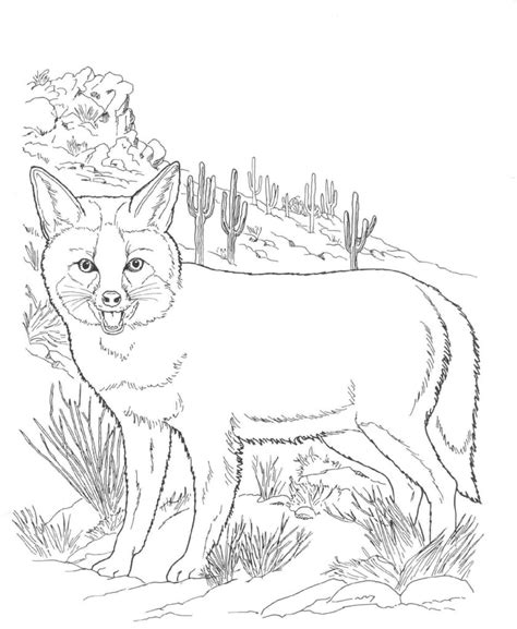 This set of worksheets are a great combination of learning and having fun at the same time. Nocturnal Animals Coloring Pages at GetColorings.com ...