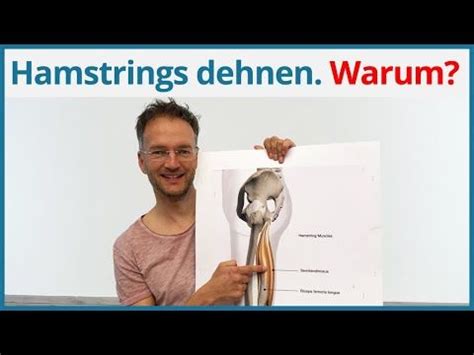 Top 6 hamstring exercises (challenging & effective). Yoga Übung Hamstrings. Verkürzte Muskeln in den ...