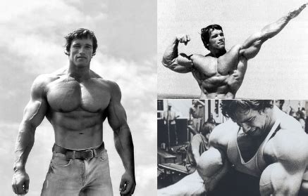 This routine will give you a good taste of the muscle building workouts in bodybuilding and, if it's your cup o' tea, you can get arnold's book and look more seriously into bodybuilding. Arnold Schwarzenegger - Training, Ernährung und Motivation ...