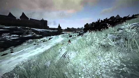 I will be making a guide in the near future to cover the basis of effective tamer combo and play style. Black Desert Snow!!! Tamer - YouTube