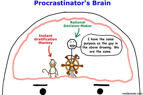 He explains how every person has their own instant gratification monkey. The real reasons you procrastinate — and how to stop | Mind reading tricks, Mind tricks, Getting ...
