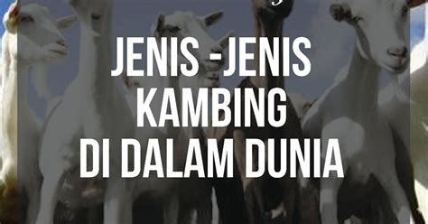 We did not find results for: Jenis-Jenis Kambing Di Dunia ~ Susu Kambing Biofresh