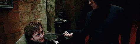 Harry potter and the goblet of fire; Alan Rickman GIF - Find & Share on GIPHY