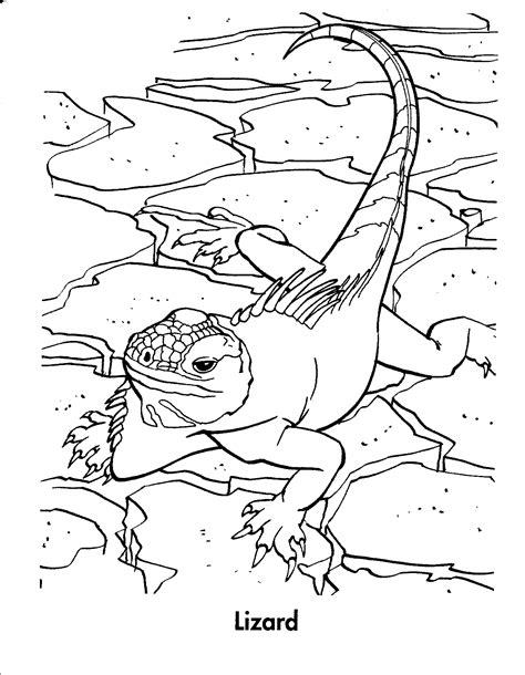 Activities, experiments, online games, visual aids. Reptile coloring pages to download and print for free